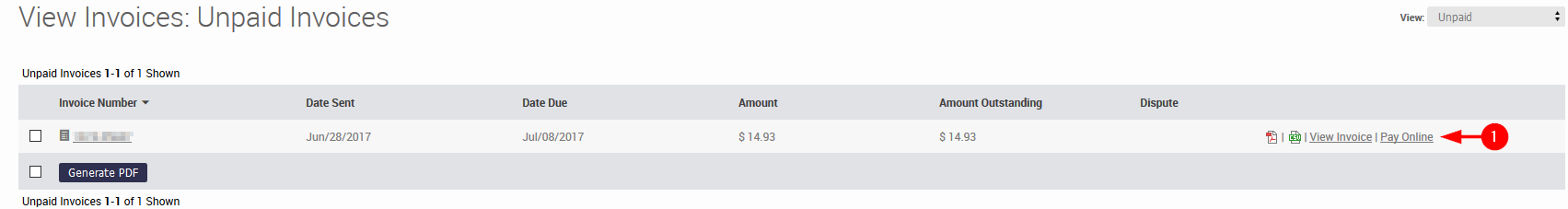 Knowledge Base > How to view invoices and make payment in Portal > Select Pay Online.png